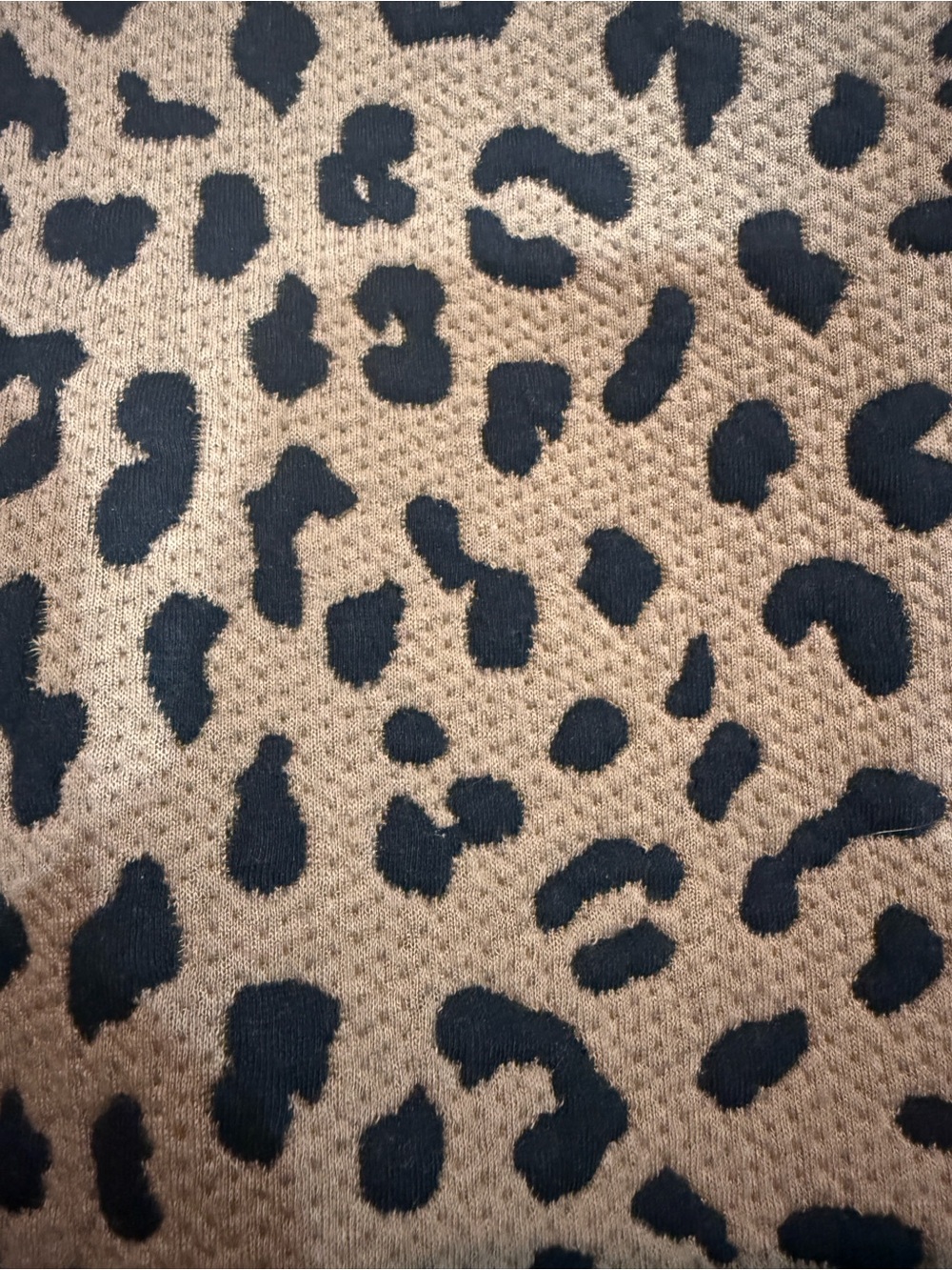 Hailey & Co Leopard Blouse - Picture 3 of 4
